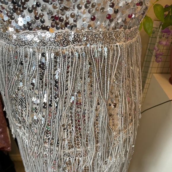 Silver sequin fringe dress! - Picture 13 of 17